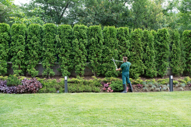 Lawn Watering Services in Hanscom Af, MA